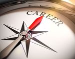 How can you manage your accountancy career?