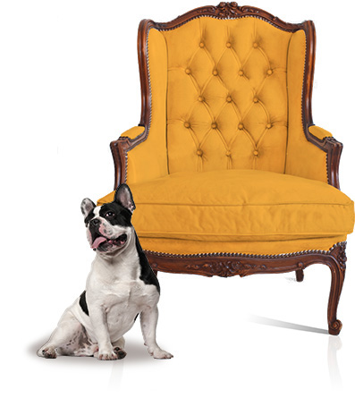 dog-chair