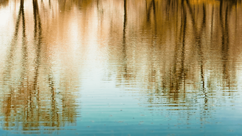 Reflecting on My First 12 Months as an Audit Partner in a Top 10 Firm